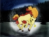 Nia Wolf: Ponyta běžící pro jaro